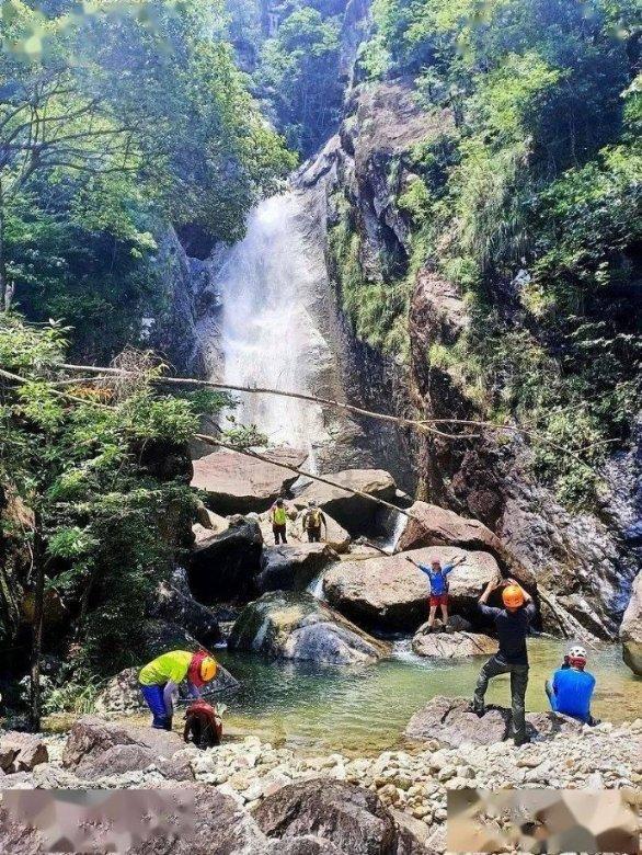 逃离绿色山谷